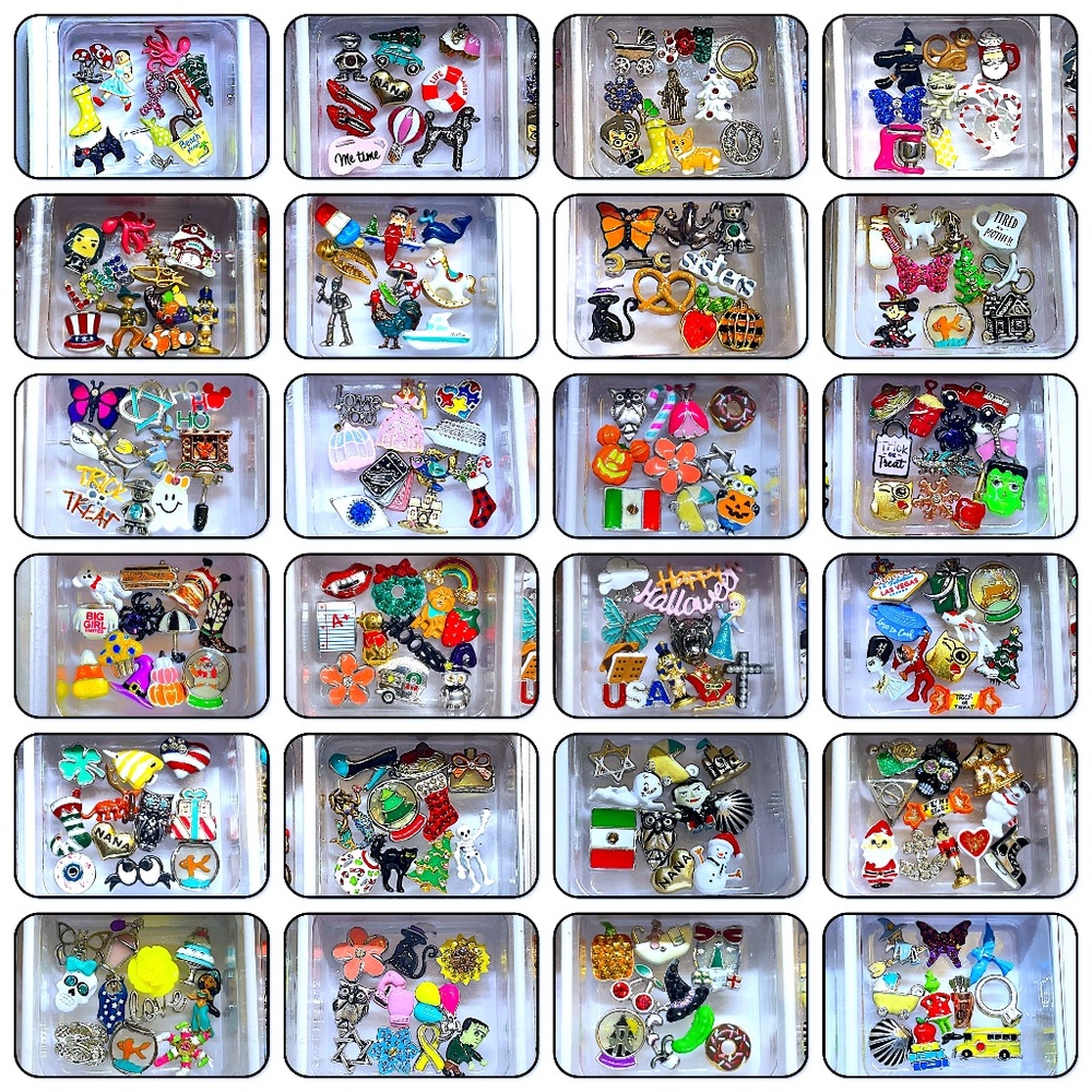 24 Compartments of Assorted Charms - $25 Each Compartment